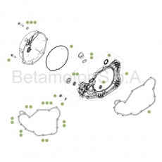 Beta RR480 Racing 17 Motorgehäuse 2