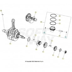 Beta Alp X 350 25 Kurbelwelle/Kolben/Ausgleichswelle