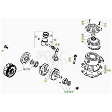 Beta EVO250 20 Kurbelwelle/Kolben/Ausgleichswelle