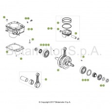 Beta EVO250 4T 18 Kurbelwelle/Kolben/Ausgleichswelle