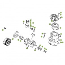 Beta EVO250 Factory 13 Kurbelwelle/Kolben/Ausgleichswelle