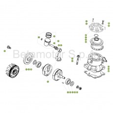 Beta EVO250 Factory 17 Kurbelwelle/Kolben/Ausgleichswelle