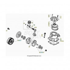 Beta  EVO250 Factory 24 Kurbelwelle/Kolben/Ausgleichswelle