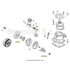 Beta EVO300 17 Kurbelwelle/Kolben/Ausgleichswelle