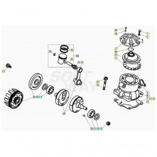 Beta EVO300 2T 20 Kurbelwelle/Kolben/Ausgleichswelle