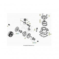 Beta EVO300 2T 24 Kurbelwelle/Kolben/Ausgleichswelle