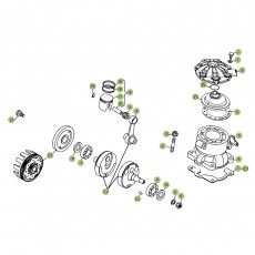 Beta EVO300 Factory 11 Kurbelwelle/Kolben/Ausgleichswelle