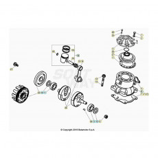 Beta EVO300 Factory 20 Kurbelwelle/Kolben/Ausgleichswelle