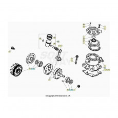 Beta EVO300 Factory 24 Kurbelwelle/Kolben/Ausgleichswelle