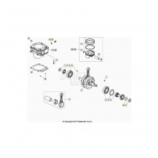 Beta EVO300 Factory 4T 20 Kurbelwelle/Kolben/Ausgleichswelle