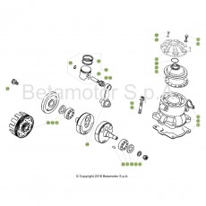 Beta EVO300 SS 18 Kurbelwelle/Kolben/Ausgleichswelle