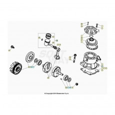 Beta EVO300 SS 21 Kurbelwelle/Kolben/Ausgleichswelle