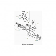 Beta EVO80 Junior 21 Kurbelwelle/Kolben/Ausgleichswelle