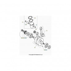 Beta EVO80 Senior 23 Kurbelwelle/Kolben/Ausgleichswelle