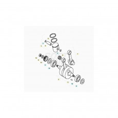 Beta EVO80 Junior 19 Kurbelwelle/Kolben/Ausgleichswelle