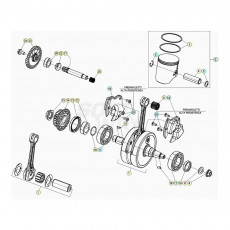 Beta RR250 21 Kurbelwelle/Kolben/Ausgleichswelle