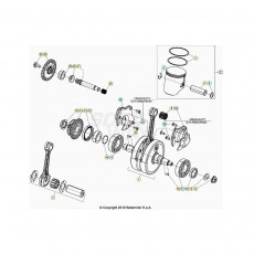 Beta RR250RC 21 Kurbelwelle/Kolben/Ausgleichswelle