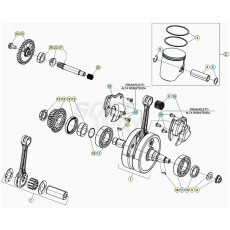 Beta RR250RC 20 Kurbelwelle/Kolben/Ausgleichswelle