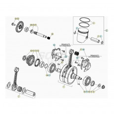 Beta RR300 21 Kurbelwelle/Kolben/Ausgleichswelle