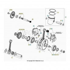 Beta RR300 23 Kurbelwelle/Kolben/Ausgleichswelle