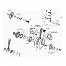 Beta RR300RC 20 Kurbelwelle/Kolben/Ausgleichswelle