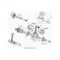 Beta RR300RC 21 Kurbelwelle/Kolben/Ausgleichswelle