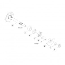 Beta RR350 14 Kurbelwelle - Kolben - Ausgleichswelle 1