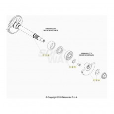 Beta RR350 20 Kurbelwelle/Kolben/Ausgleichswelle 1