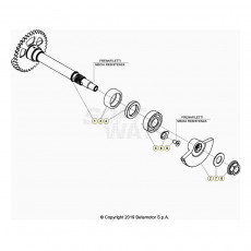 Beta RR350 24 Kurbelwelle/Kolben/Ausgleichswelle 1