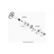 Beta RR350RC 24 4T Kurbelwelle/Kolben/Ausgleichswelle 1
