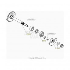 Beta RR480RC 20 4T Kurbelwelle/Kolben/Ausgleichswelle 1