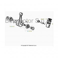 Beta RR50 19 Kurbelwelle/Kolben/Ausgleichswelle