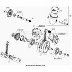 Beta RX300 25 Kurbelwelle/Kolben/Ausgleichswelle