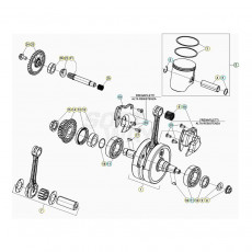 Beta Xtrainer250 21 Kurbelwelle/Kolben/Ausgleichswelle