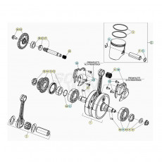 Beta Xtrainer300 20 Kurbelwelle/Kolben/Ausgleichswelle