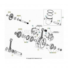 Beta Xtrainer300 23 Kurbelwelle/Kolben/Ausgleichswelle