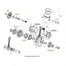 Beta Xtrainer300 25 Kurbelwelle/Kolben/Ausgleichswelle