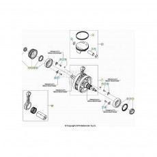 Beta RR430RC 22 4T Kurbelwelle/Kolben/Ausgleichswelle 2