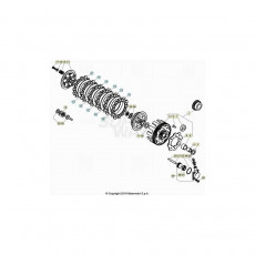 Beta EVO250 24 Primärtrieb/Kupplung