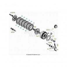 Beta  EVO250 Factory 21 Primärtrieb/Kupplung