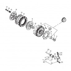 Beta EVO250 10 Primärtrieb - Kupplung