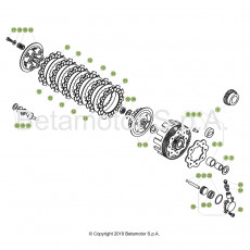 Beta EVO300 19 Primärtrieb/Kupplung