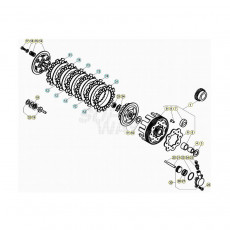 Beta EVO300 2T 20 Primärtrieb/Kupplung