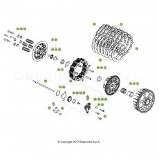 Beta RR250 19 Primärtrieb/Kupplung