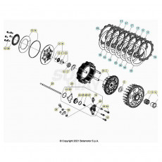 Beta RR250RC 25 Primärtrieb/Kupplung