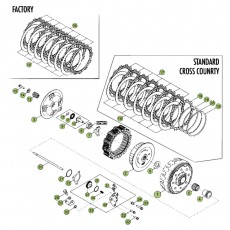 Beta RR450 Factory 12 Primärtrieb/Kupplung