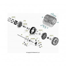 Beta RR480RC 21 4T Primärtrieb/Kupplung