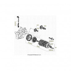 Beta RR50 Street Track 23 Primärtrieb/Kupplung