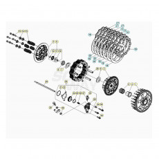 Beta Xtrainer300 21 Primärtrieb/Kupplung