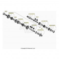 Beta  EVO250 Factory 20 Getriebe